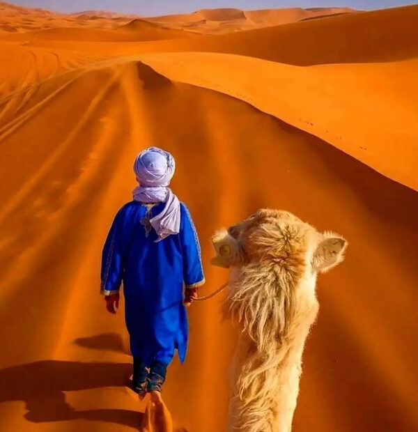 3-Day Sahara Desert Tour From Marrakech